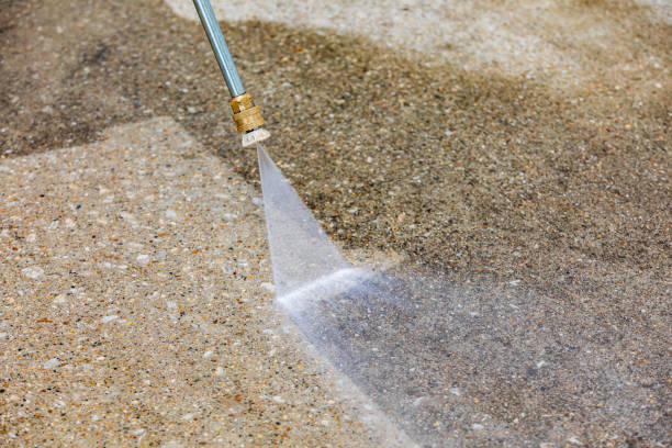 Best Gutter Cleaning  in Reeds Spring, MO